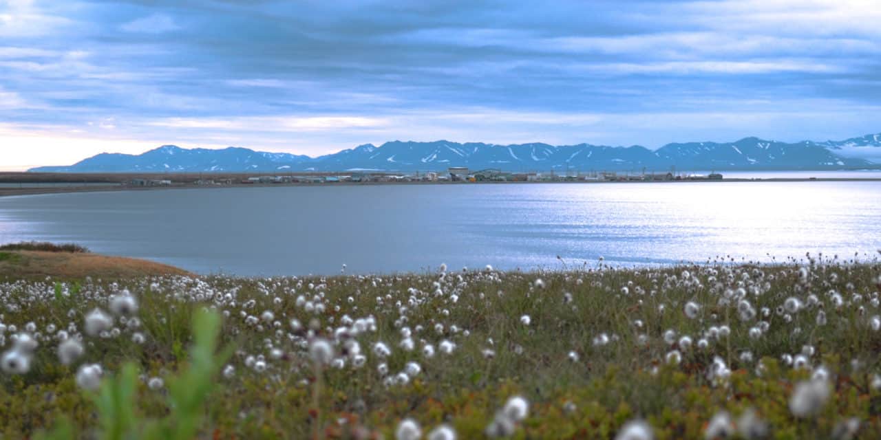 ARA and ANVCA Welcome Supreme Court’s Decision to Hear CARES Act Case