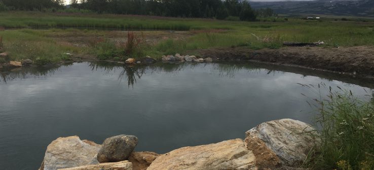 Pilgrim Hot Springs: What’s Going On?