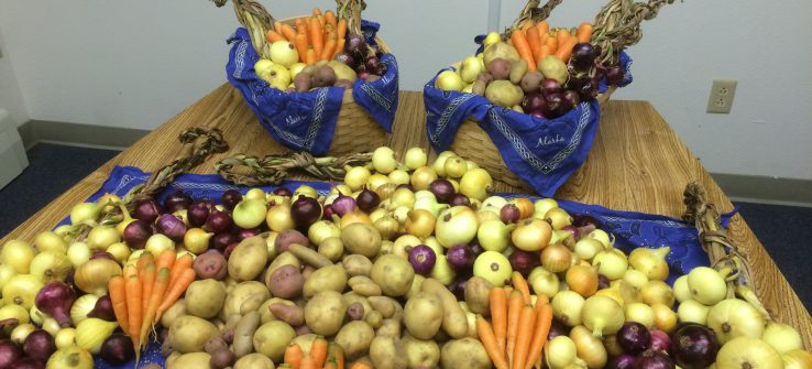 Pilgrim Hot Springs Celebrates First Harvest