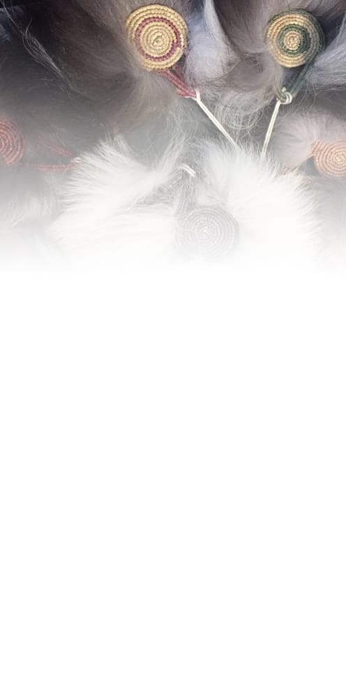 Barbara https://bering.bldit.dev/wp-content/uploads/2020/11/Barbara.jpg