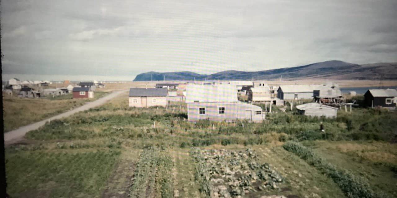 Historical Spotlight: Unalakleet Community Gardens