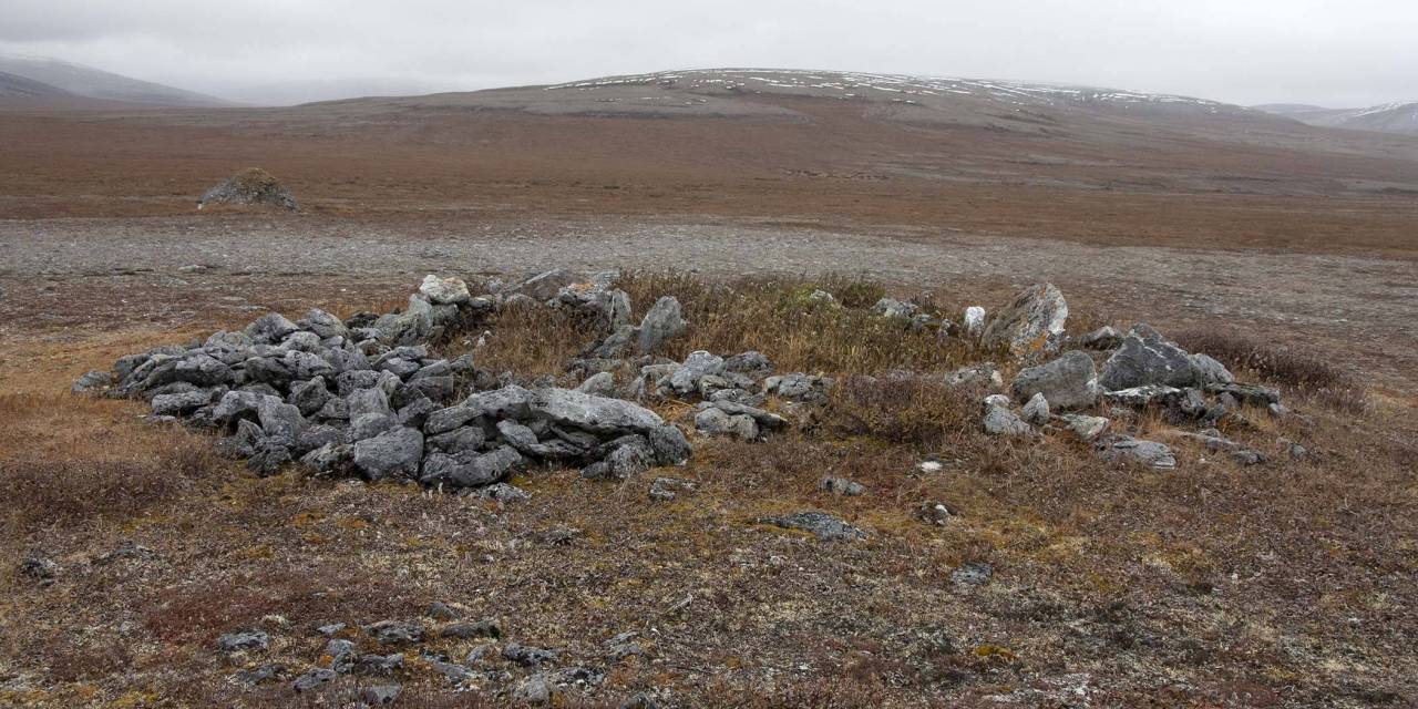 Seward Peninsula Caribou Herd
