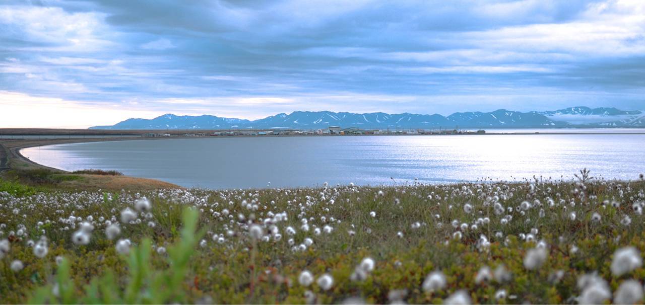 A Message from the Interim President and CEO