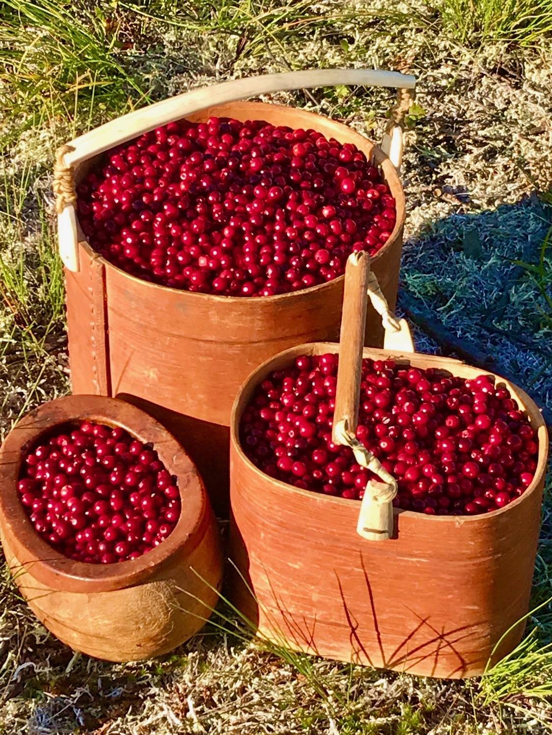 Traditional Buckets - Jeanette Nanouk Traditional Buckets - Jeanette Nanouk