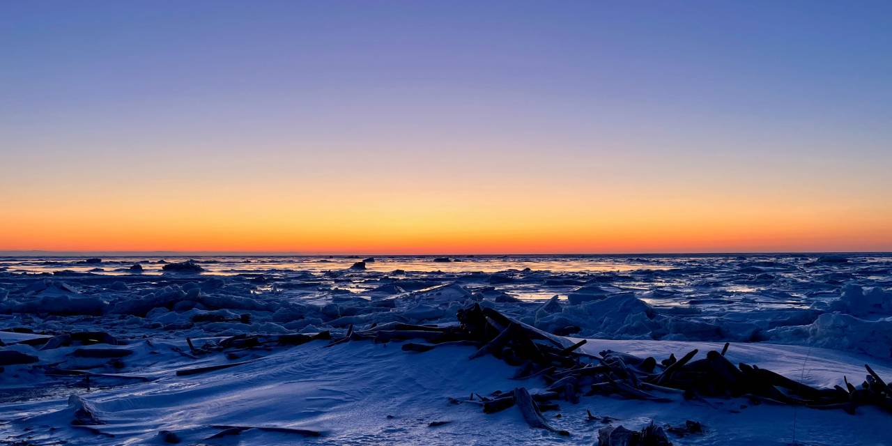 BSNC Continues to Increase Shareholder and Descendant Hire