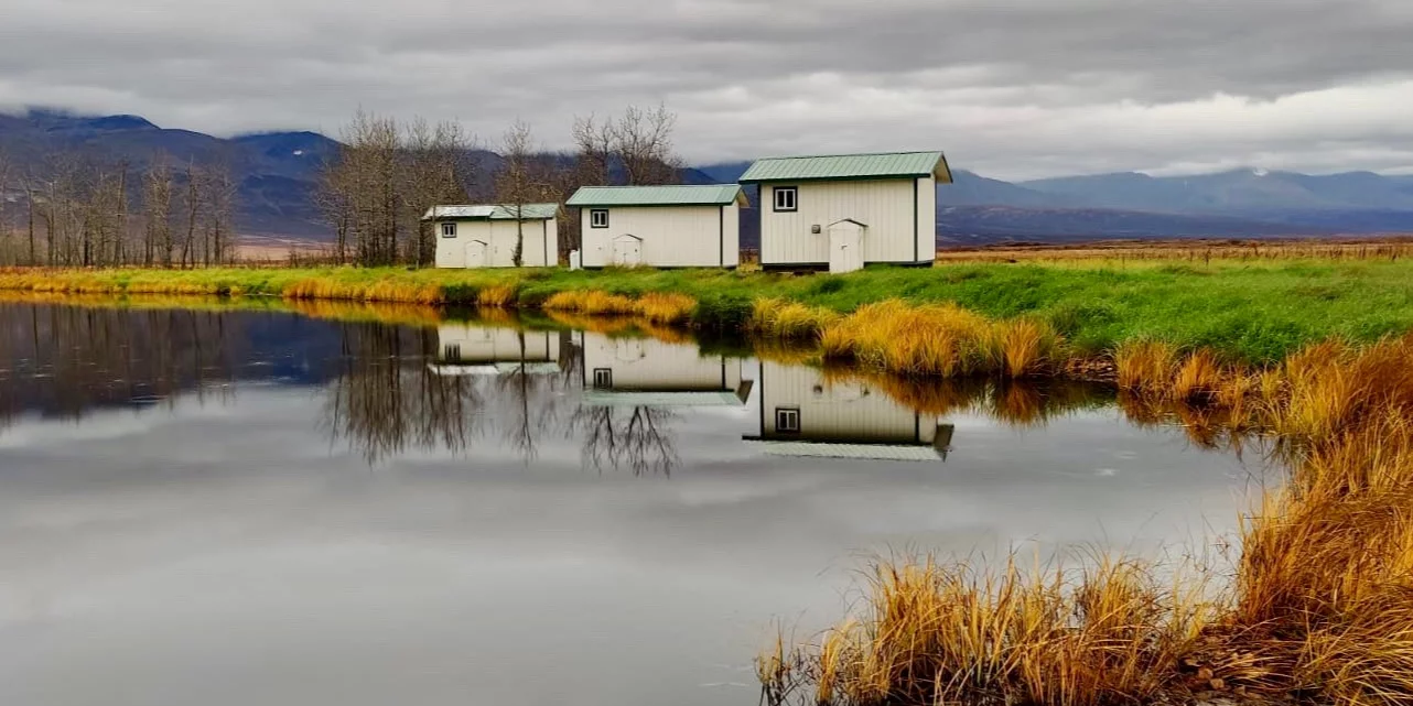 f526a0_ab3a9d5d767c46eaafc491f0156753cf_mv2 https://bering.bldit.dev/wp-content/uploads/2022/07/f526a0_ab3a9d5d767c46eaafc491f0156753cf_mv2.webp