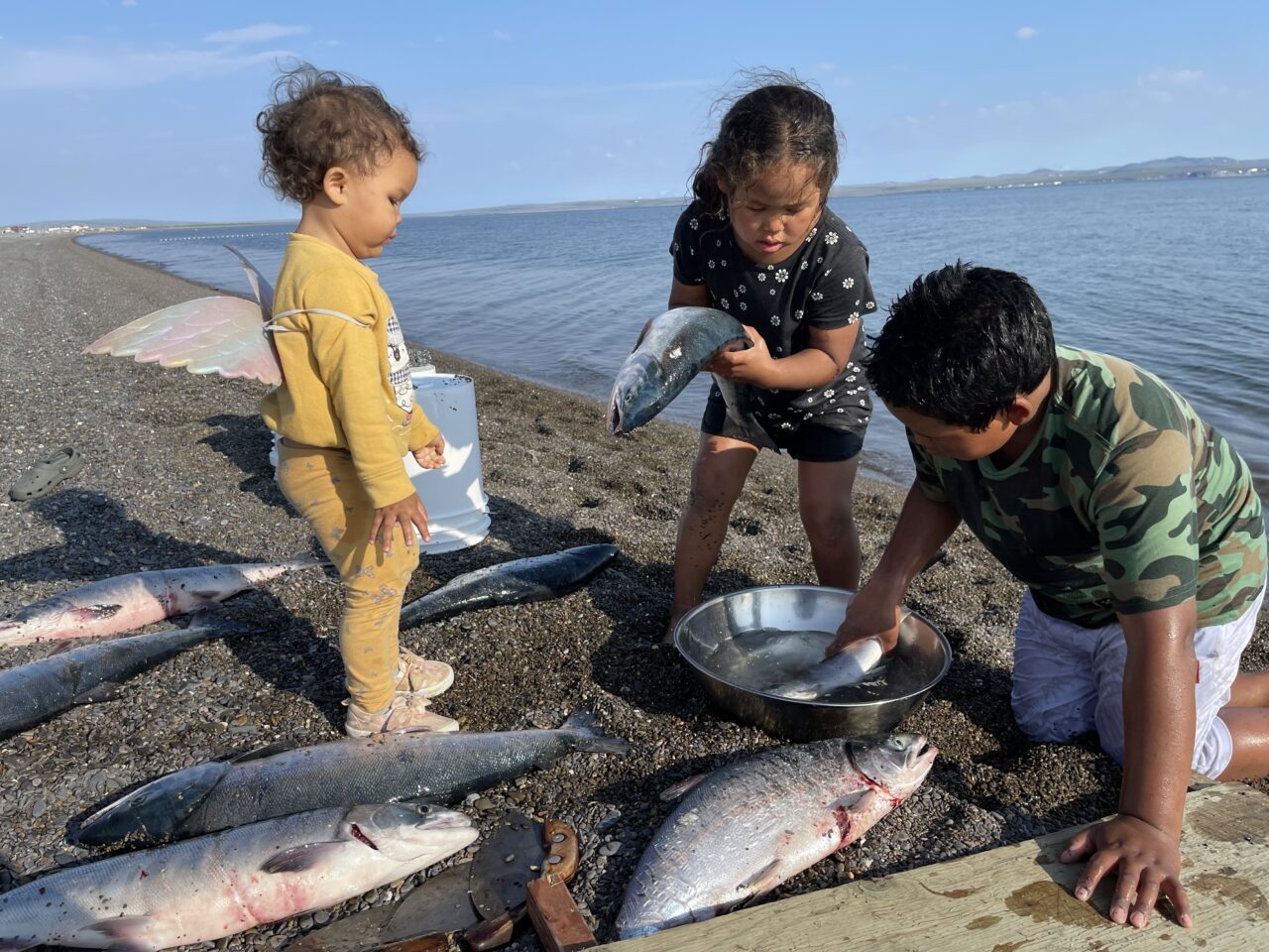 SouthallFrieda-Subsistence-FishCamp SouthallFrieda-Subsistence-FishCamp