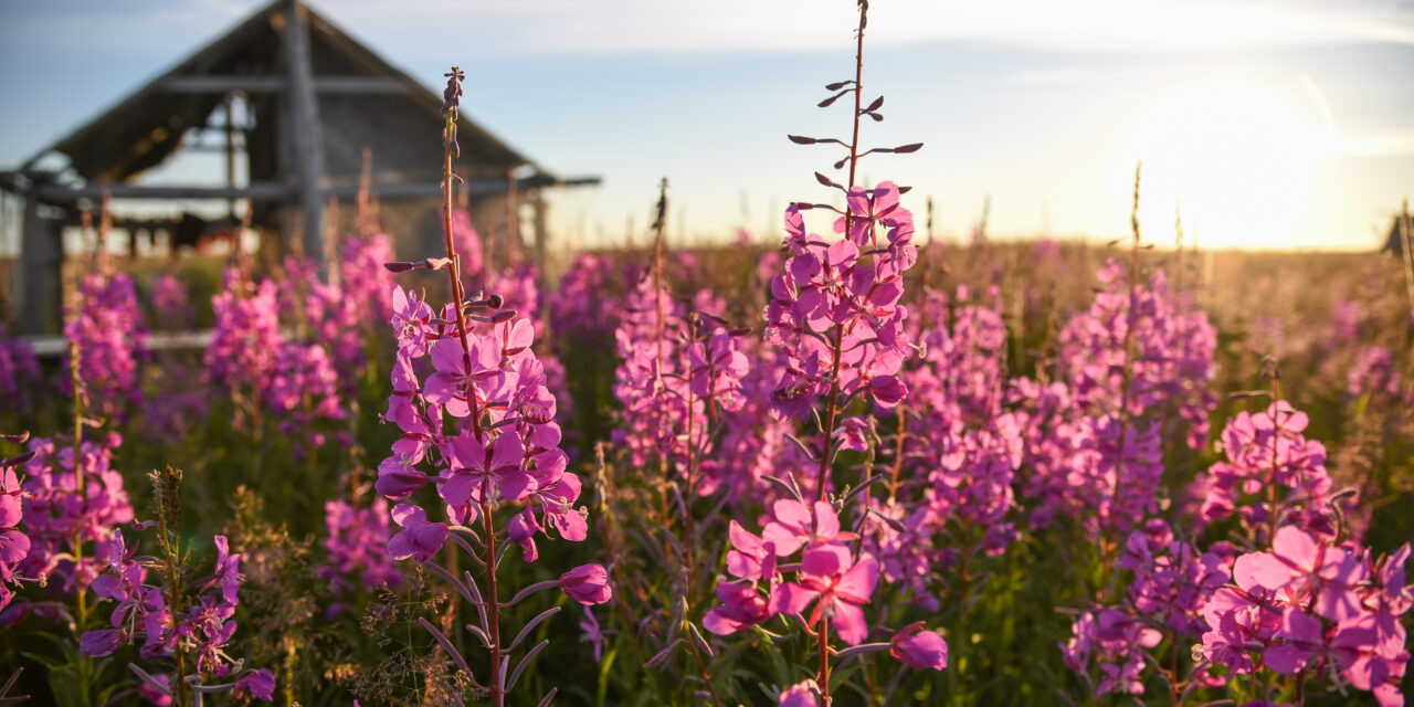 2024 BSNC Elders of the Year
