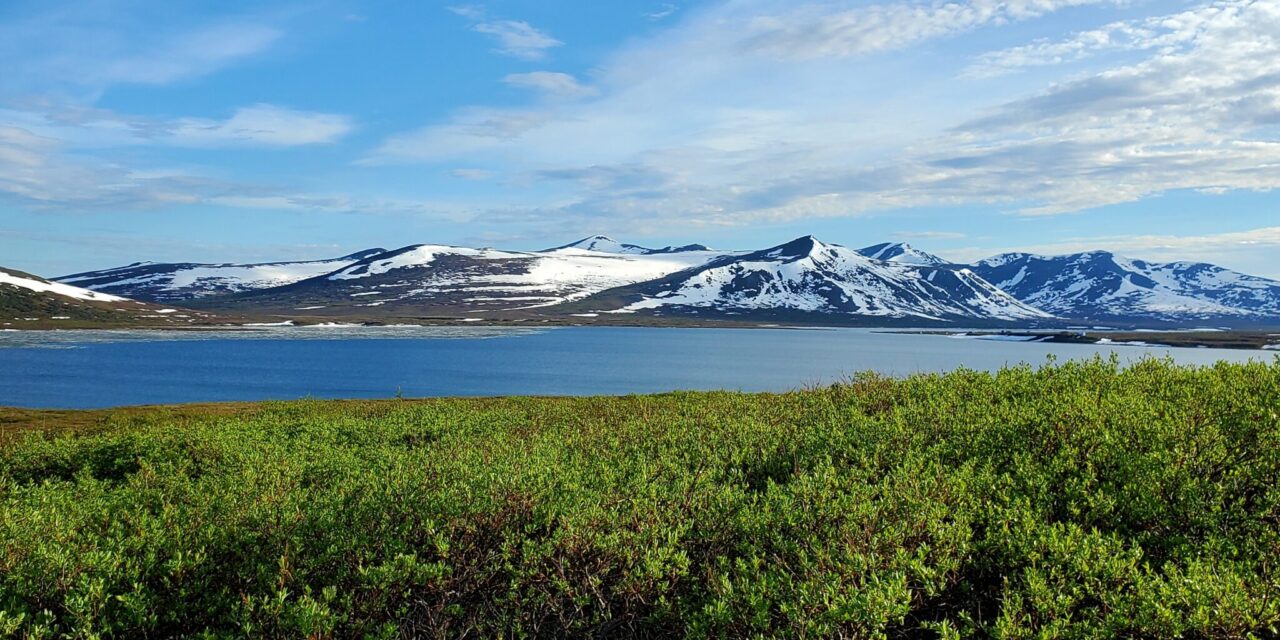 BSNC Shareholders Win Race to Survive: Alaska