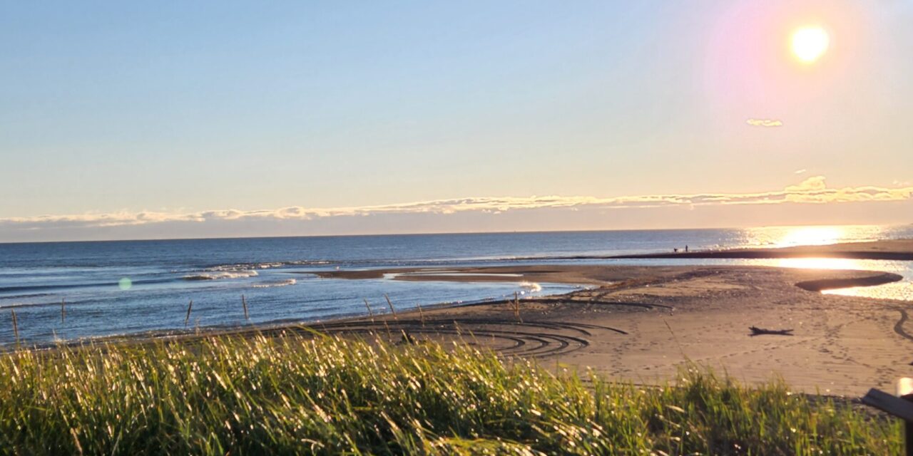 BSNC EVP and COO Krystal Nelson Awarded YMCA Women of Achievement Award