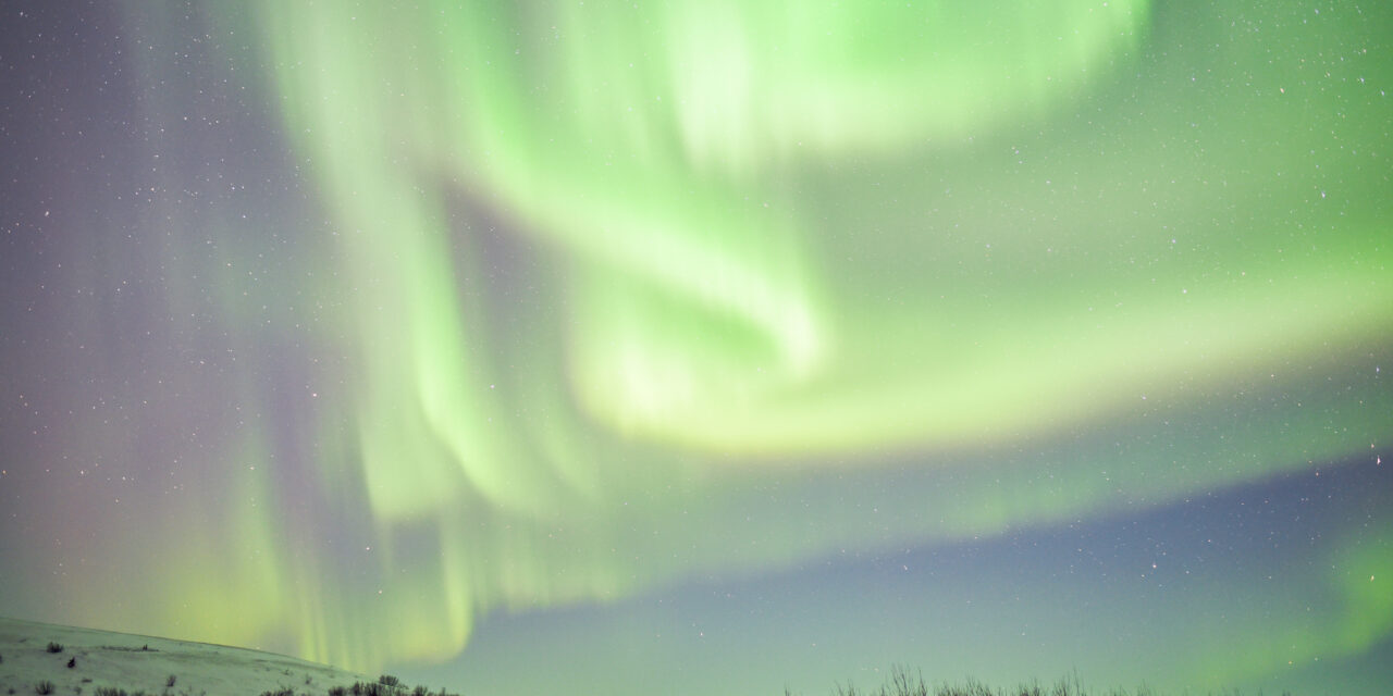 BSNC Announces Details on Open Enrollment Resolution