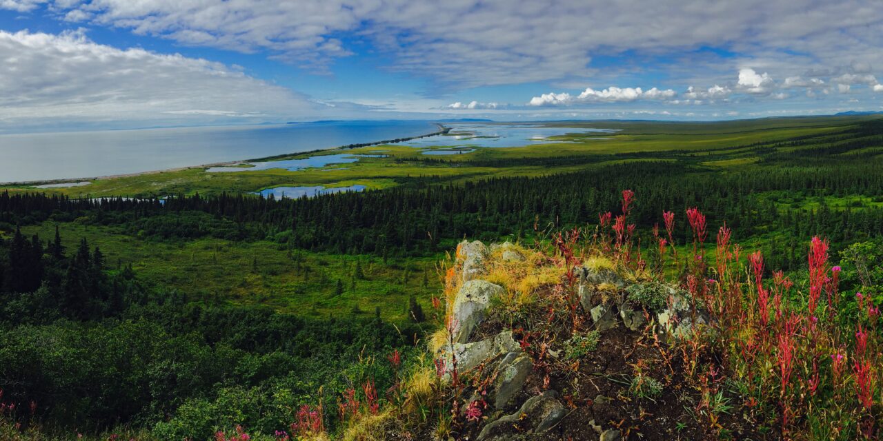 2025 Young Provider and Youth Culture Bearer Awardees