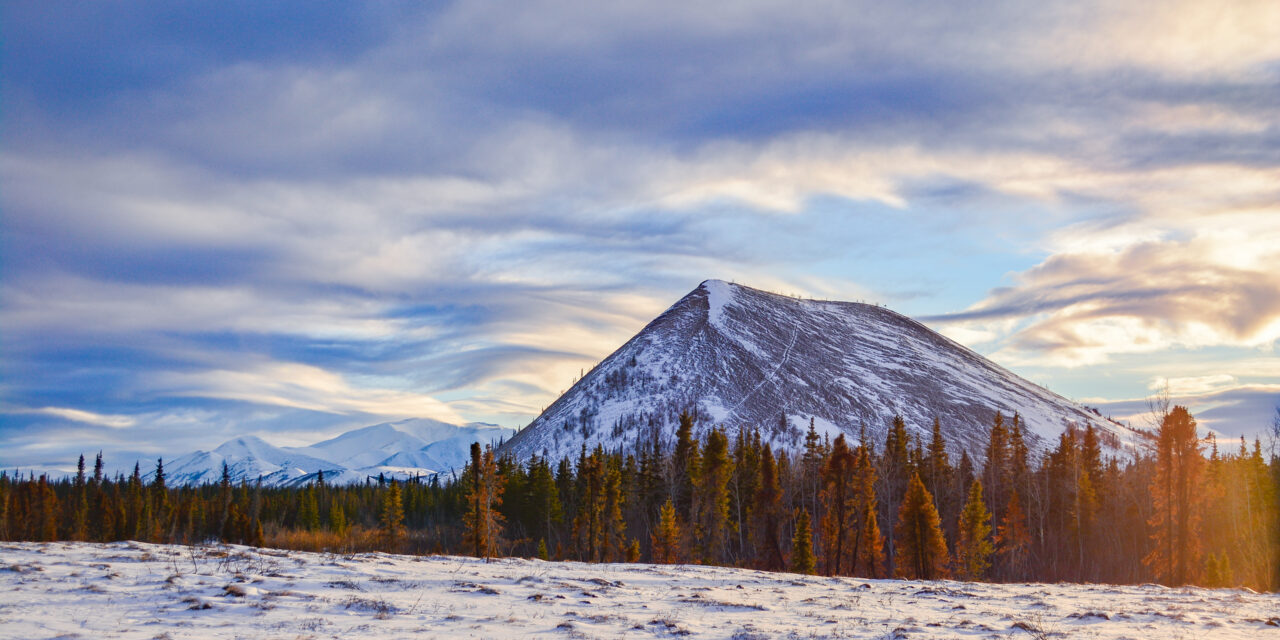 BSNC Establishes Three New Holding Companies