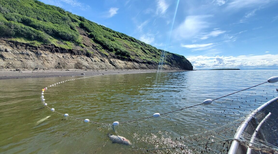 BSNC Appoints Jeff Shirley as Senior Vice President and Chief Financial Officer