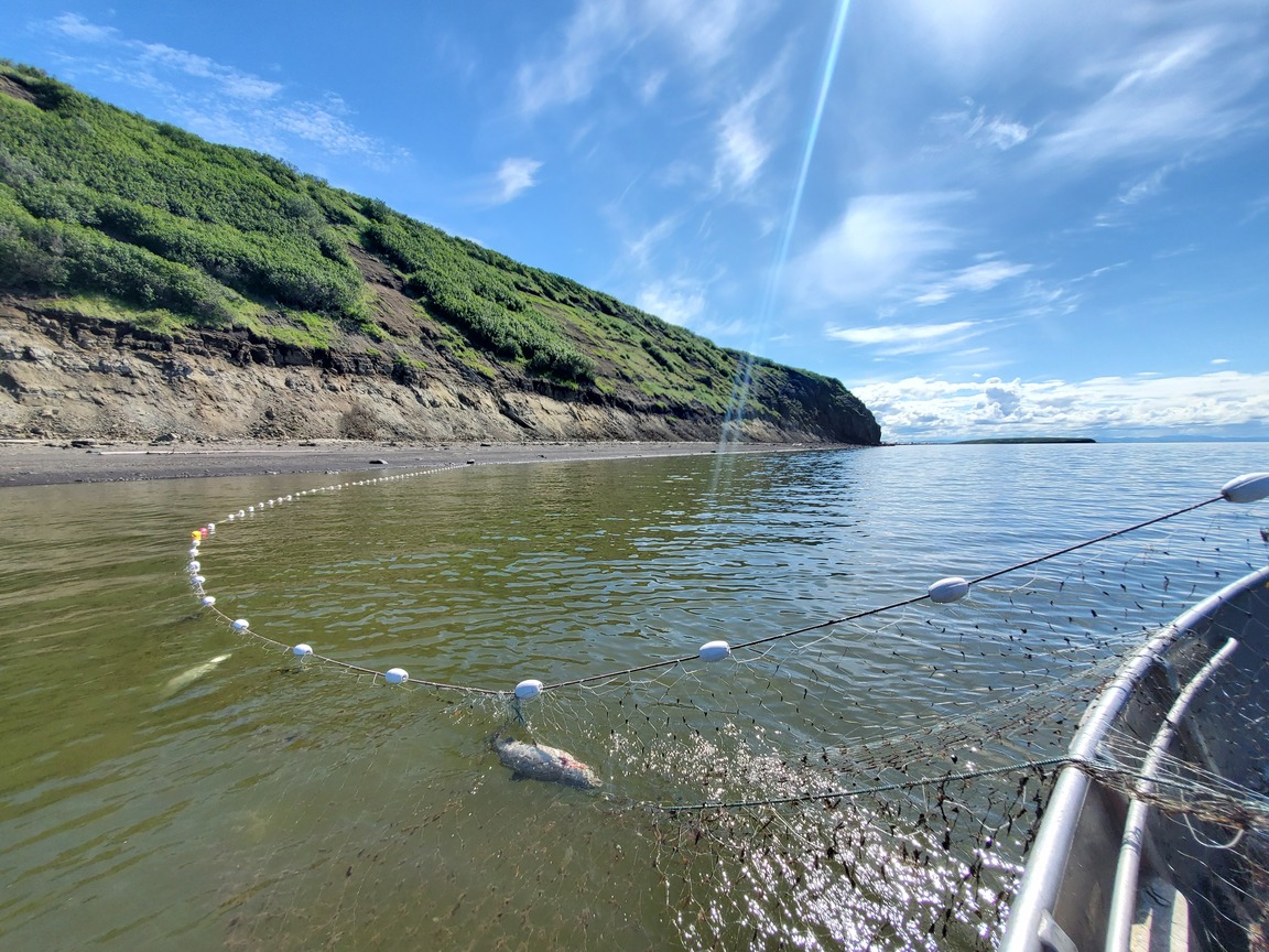 CandyPete-2024Scenery-Stebbinsfirstfishing season summer 2023 CandyPete-2024Scenery-Stebbinsfirstfishing season summer 2023