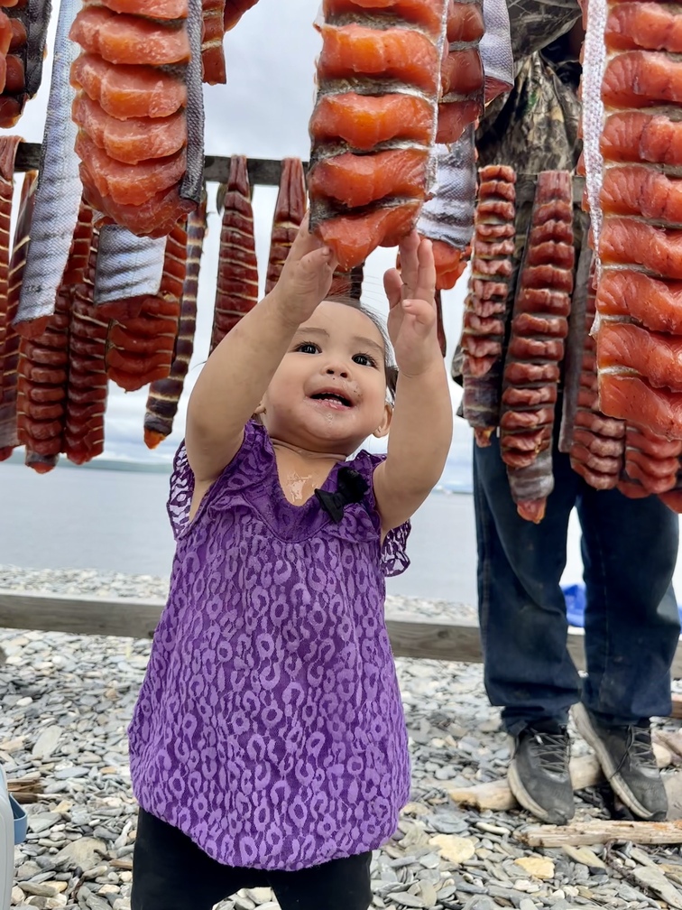 KayOkbaok-SubsistenceCultural-SadieMedadelookcheckingondryfishTeller KayOkbaok-SubsistenceCultural-SadieMedadelookcheckingondryfishTeller
