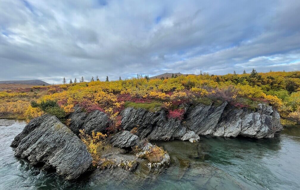 A Message from the President