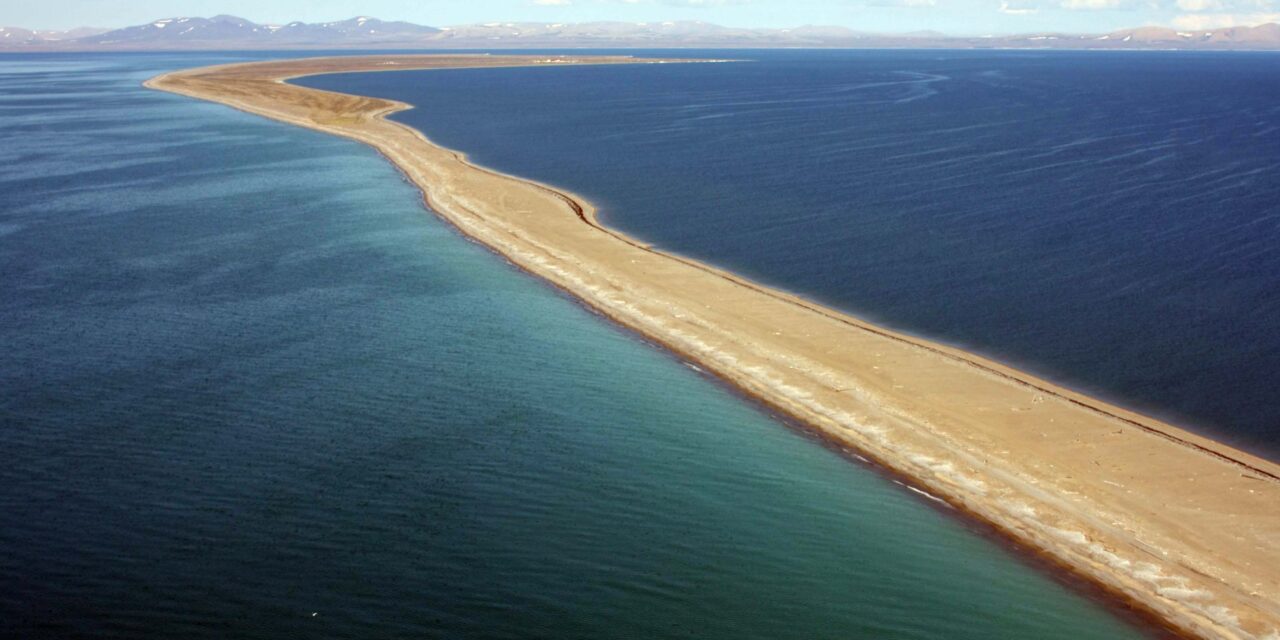 Career Pathways: BSNC Employee Amy Bioff