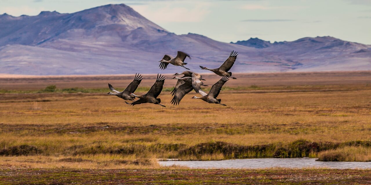 2024 Open Enrollment Survey Results