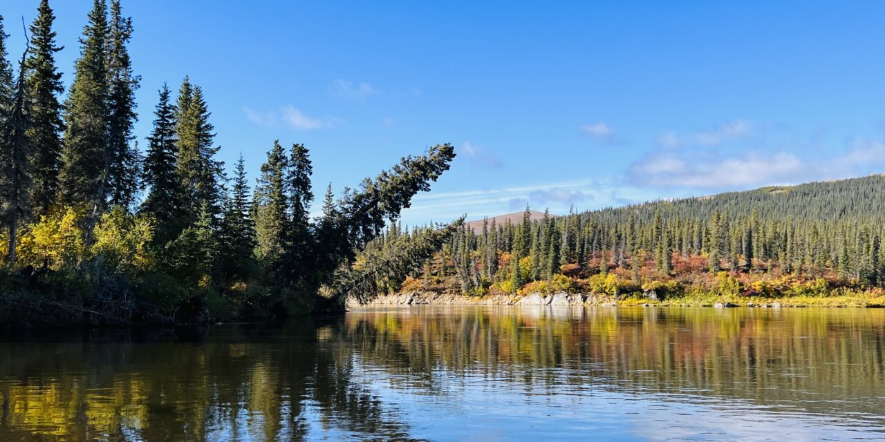 BSNC Announces Shareholder Employee Promotions