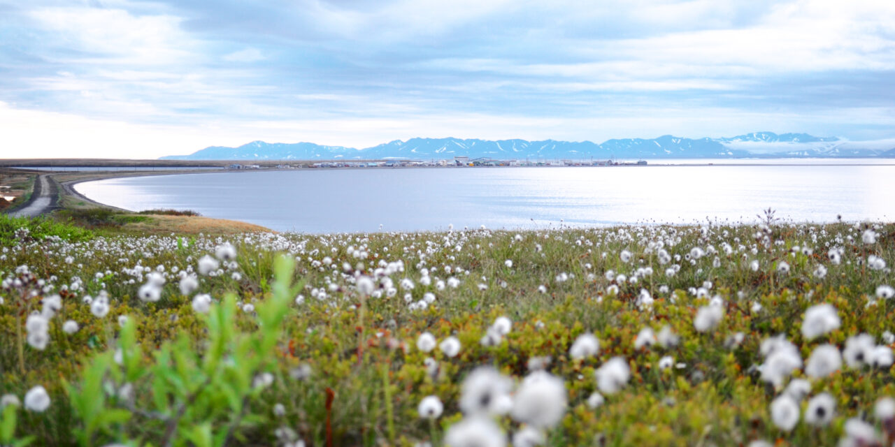 Shareholder Spotlight: Reuben P. Weyiouanna