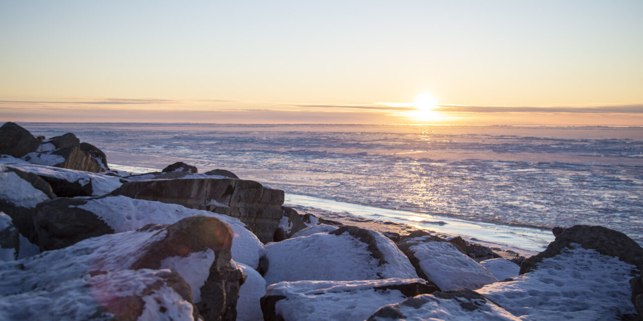 Haven Harris Appointed Co-Chair of the NACA Board of Directors