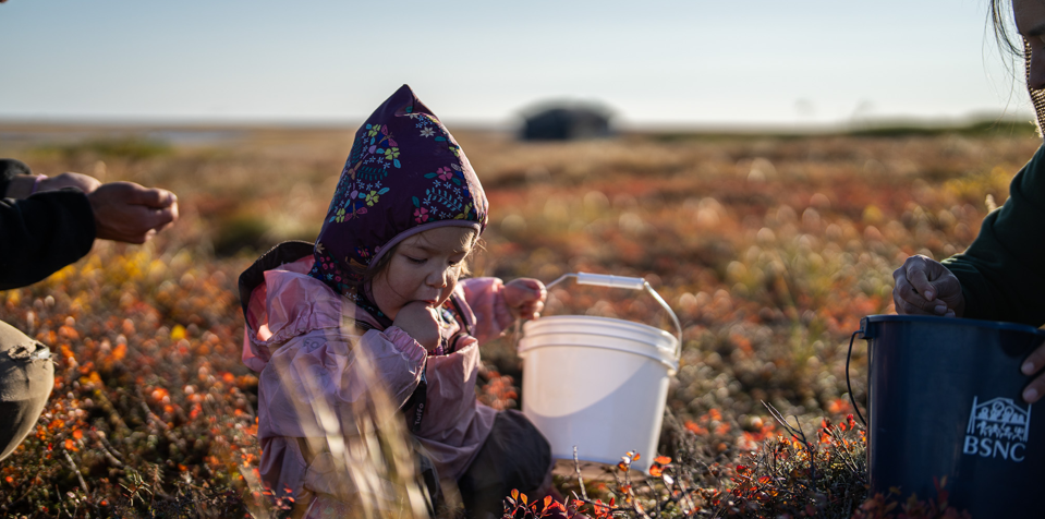 Historical Spotlight: Evaluating Open Enrollment, A Decade of Careful Thought