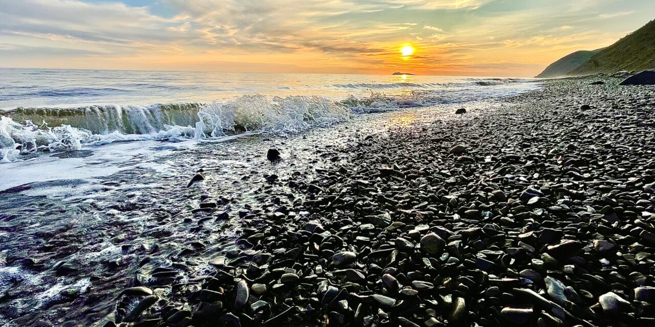 BSNC Welcomes Hannah Kelley as Vice President of Finance