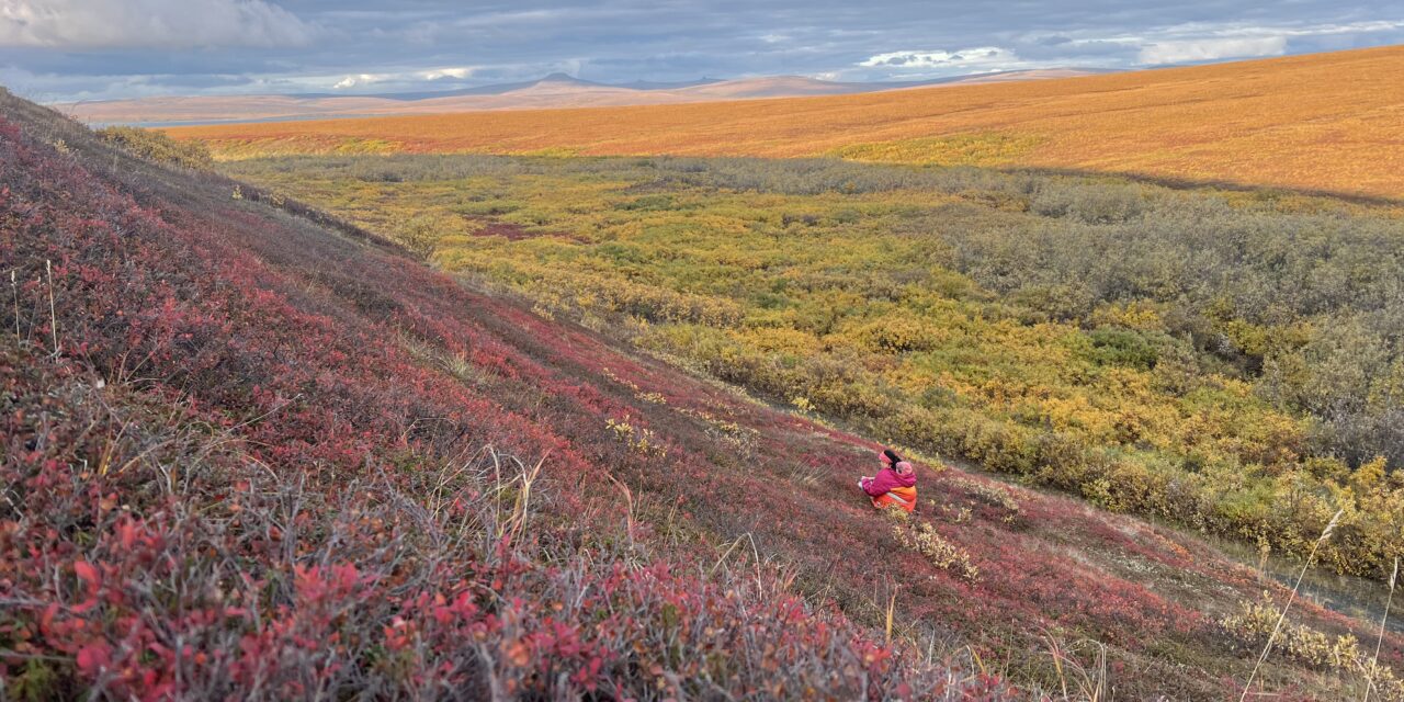 Shareholder Youth Spotlight: Shane Angnaboogok