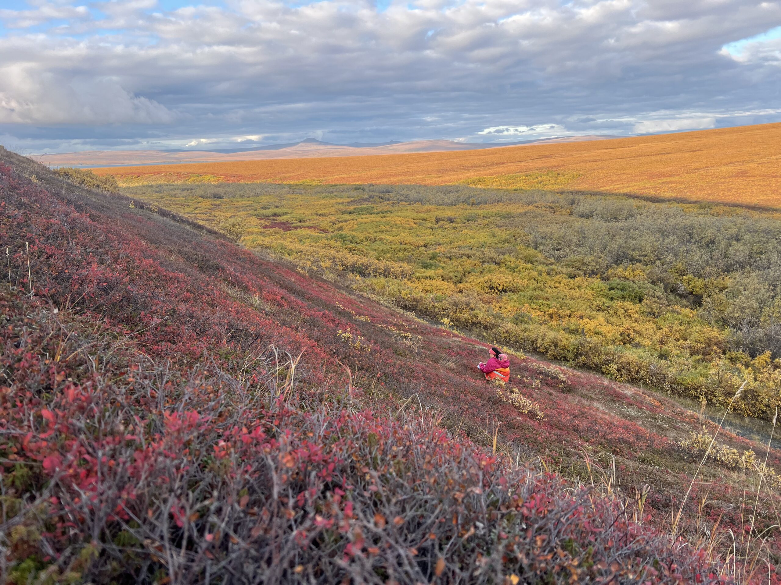 3rd 2025-Scenery-Okboak-GarnieBlanche-BerryPicking