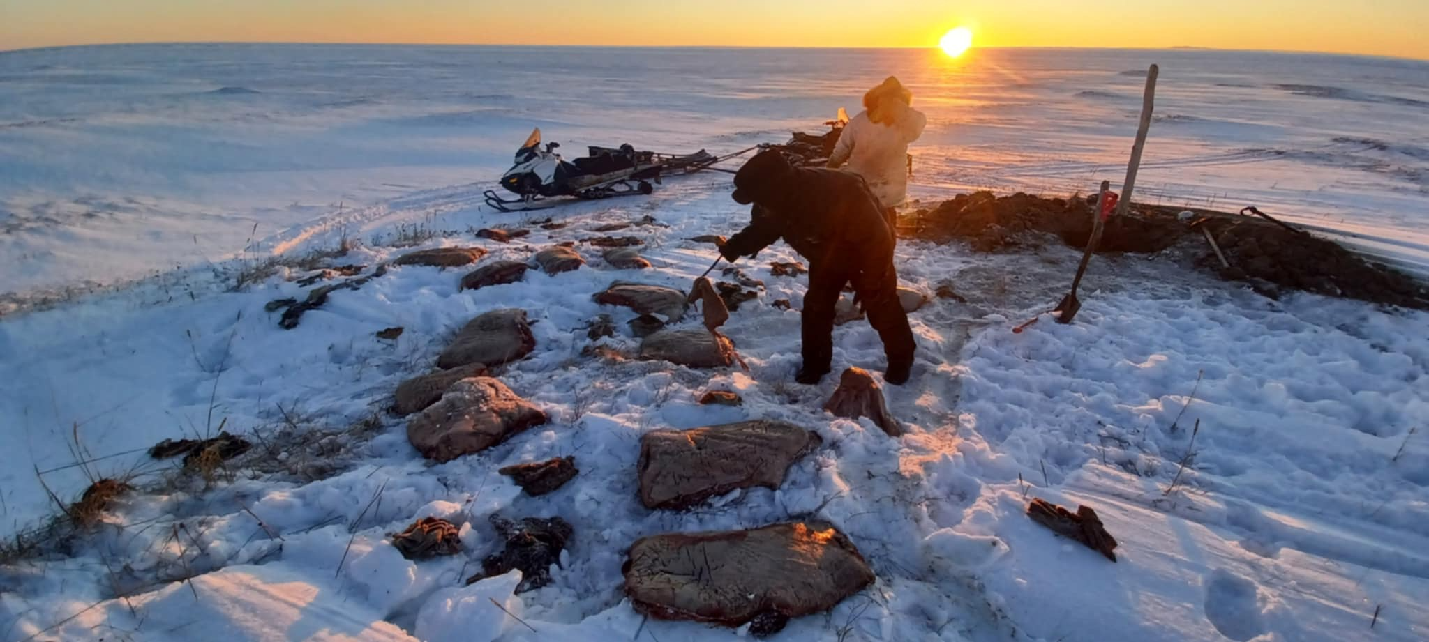 3rd 2025-Subsistence-NayokpukBrenda-FermentedWalrusDiggingShishmarefAlaska