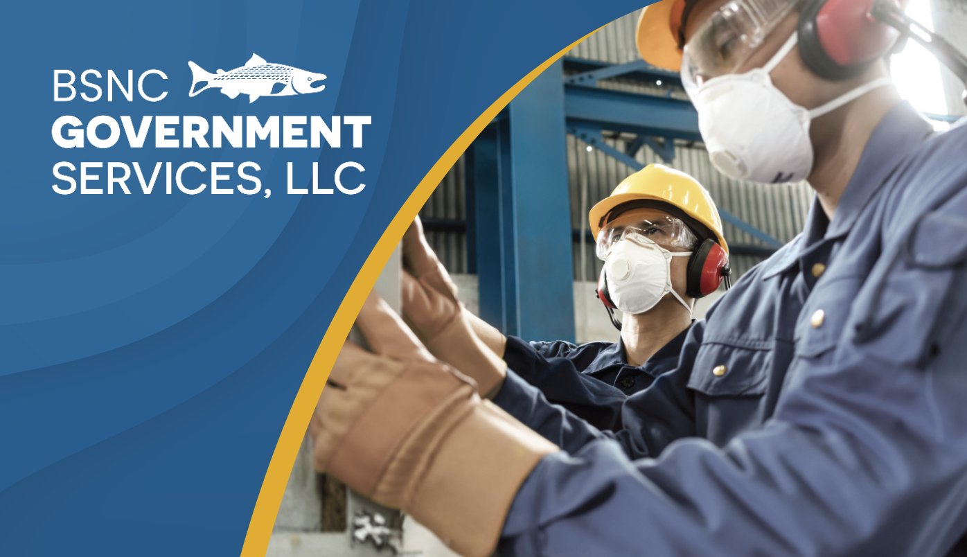 BSNC Government Services https://bering.bldit.dev/wp-content/uploads/2025/06/BSNC-Government-Services.png